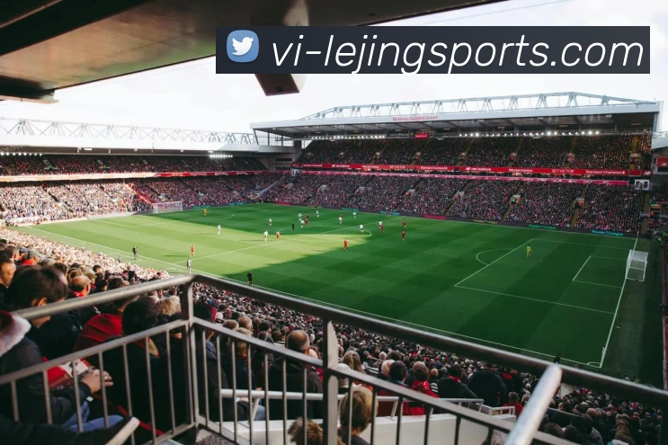 乐竟网站品牌故事