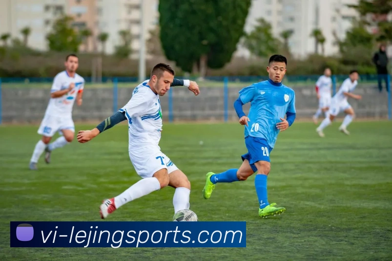 乐竟网站服务体系